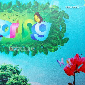 高精户外背胶沙银胶片(1)