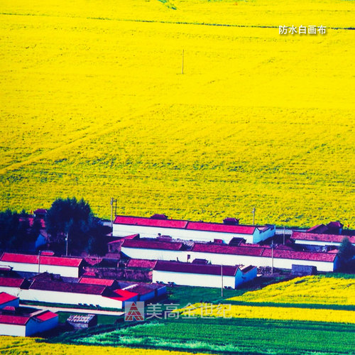 高精户外防水白画布