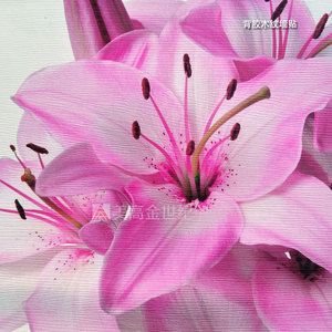 高精户外背胶木纹墙贴(1)