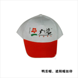 10遮阳、鸭舌帽 (2)