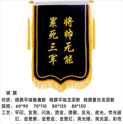 锦旗 (13)